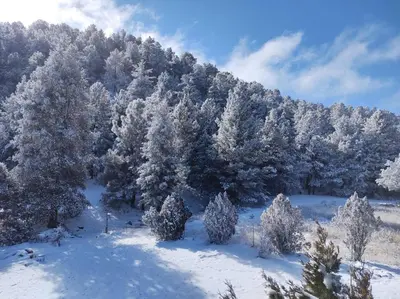 Parador Arew 1 La Energa Que Impulsa El Alma en invierno