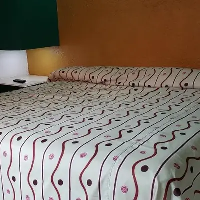 Hotel Viena