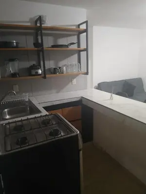 Una cocina o zona de cocina en Depa Eco en planta baja, a 5 minutos del malecon y zona dorada