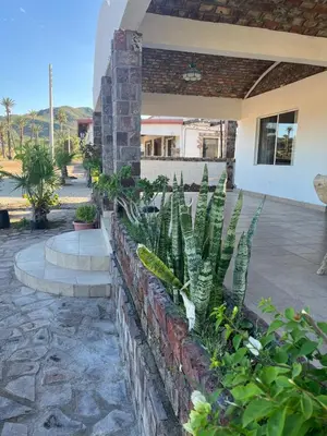 Jardín al aire libre en Casas Rio Mulege