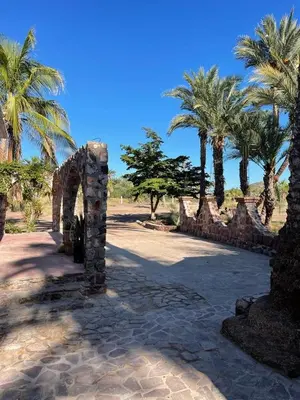 Jardín al aire libre en Casas Rio Mulege