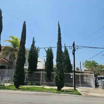 Alegría