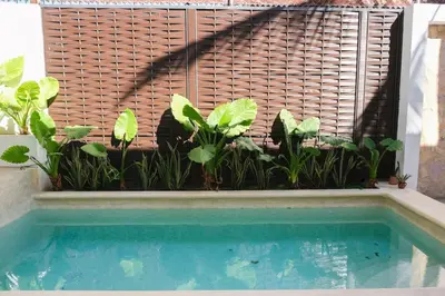 Piscina en o cerca de Central and Comfortable 2BR1BA Work Here