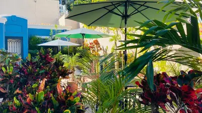 Jardín al aire libre en Casa Palencia Hotel and Breakfast