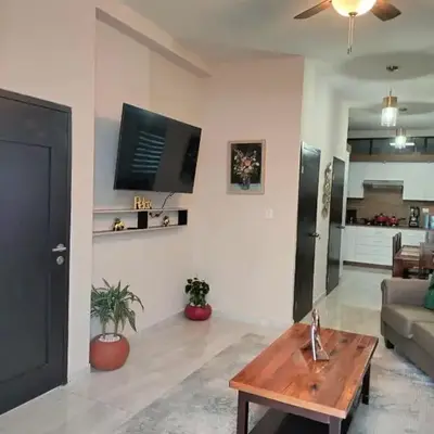 Executive Apartment