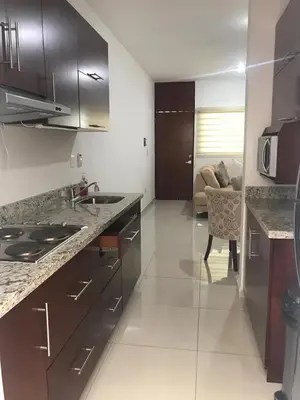 Una cocina o zona de cocina en Apartamento moderno en PB super ubicado