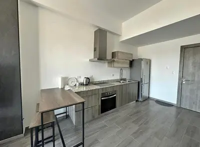 Una cocina o zona de cocina en Departamento lujoso