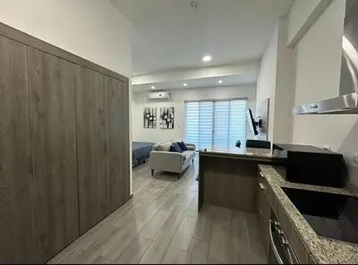 Una cocina o zona de cocina en Departamento lujoso