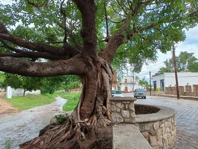 El barrio de los alrededores o un barrio cerca de este apartamento