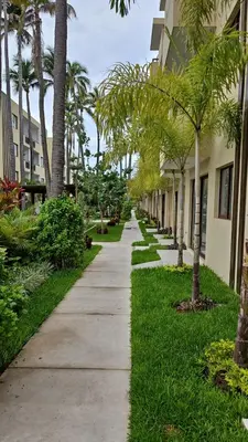 Jardín al aire libre en Mazatlan Executive Apartment
