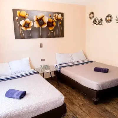 Cómoda y acogedora suite