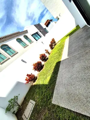 Jardín al aire libre en Residencial De Lujo Playas Brujas Alberca y Playa
