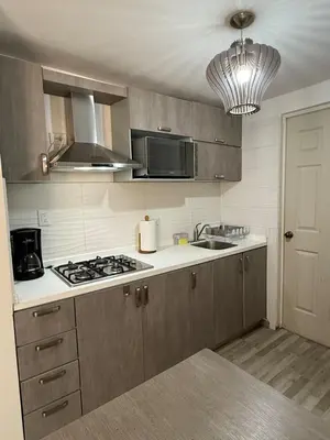 Una cocina o zona de cocina en Cómoda casa en Saltillo