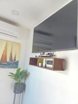 Una televisión o centro de entretenimiento en Departamento con vista al Estadio de Béisbol