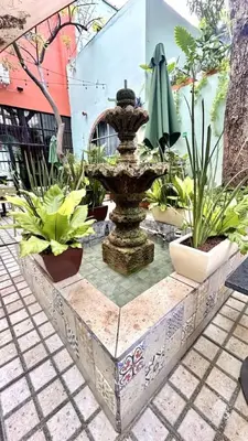 Jardín al aire libre en Habitacion Carnaval