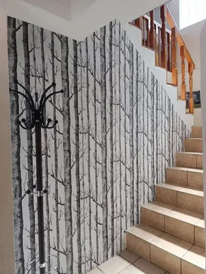 Plano de Casa Chepe