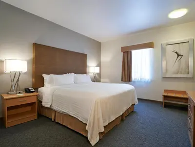 Cama o camas de una habitación en Holiday Inn & Suites Chihuahua Expo by IHG