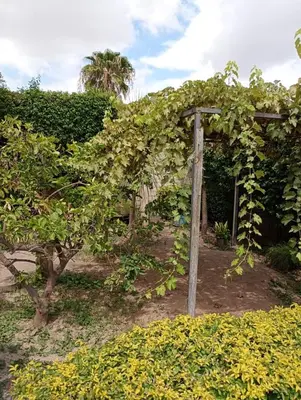 Jardín al aire libre en Hgen Rooms & Suites