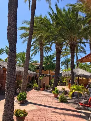 Jardín al aire libre en Sukasa Bungalows