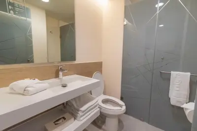 Un baño de Highland Chihuahua