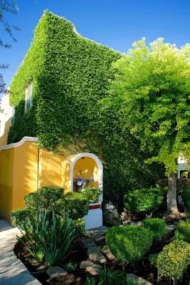 Jardín al aire libre en Best Western Saltillo