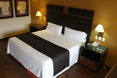 Cama o camas de una habitación en Hotel Plaza las Quintas
