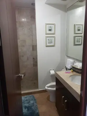 Un baño de Big Luxury Condo - Zona Dorada