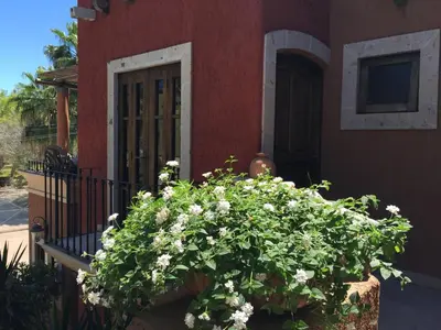 Jardín al aire libre en Posada del Cortes