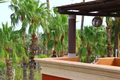 Jardín al aire libre en Posada del Cortes