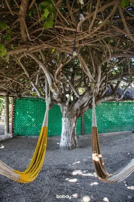 Plano de Casa en Altata Las Aguilas, Nav. Sinaloa