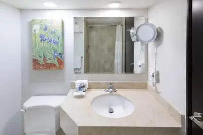 Un baño de Wyndham Executivo Culiacan