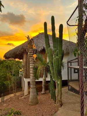 Plano de Palm Valley Cabins