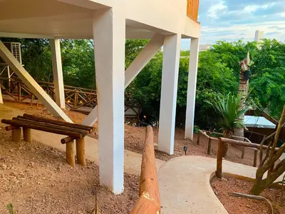Jardín al aire libre en Palm Valley Cabins