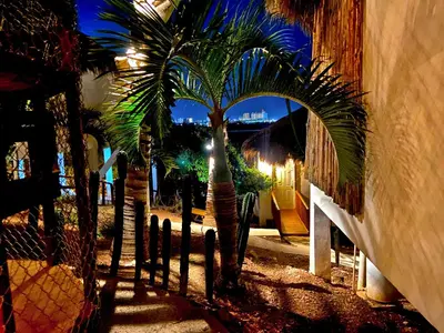 Jardín al aire libre en Palm Valley Cabins