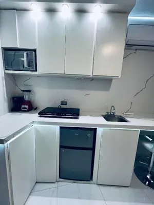 Una cocina o zona de cocina en Departamento ejecutivo nuevo